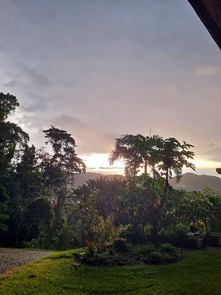 Wompoo Eco Retreat