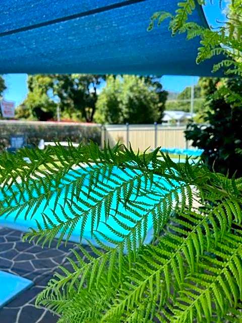 Riverbank Park MOTEL