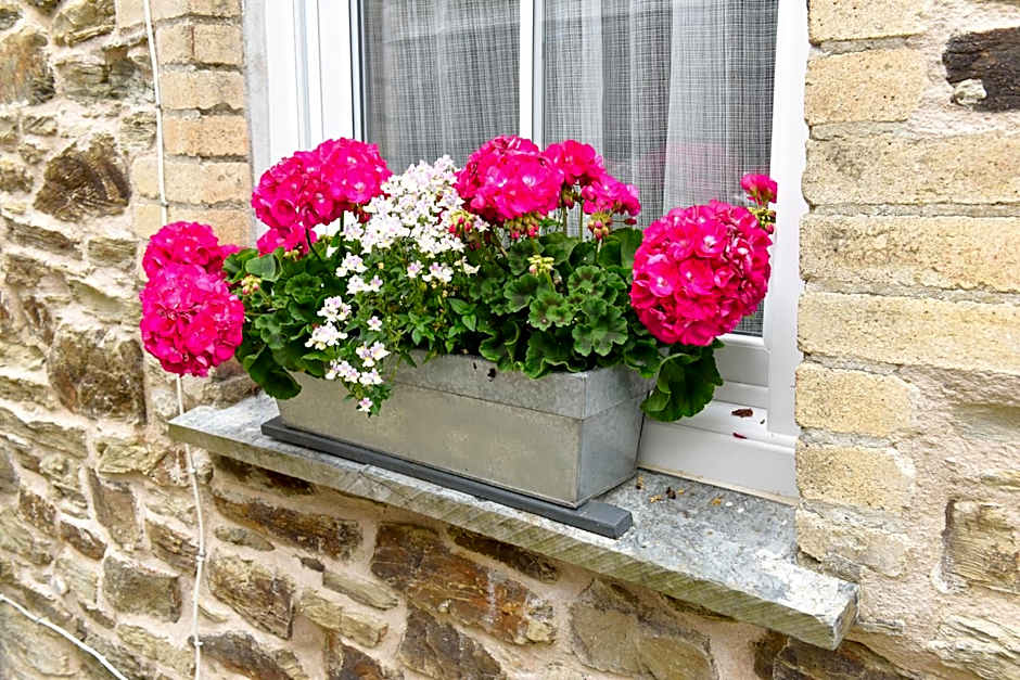 Cliftons Guest House