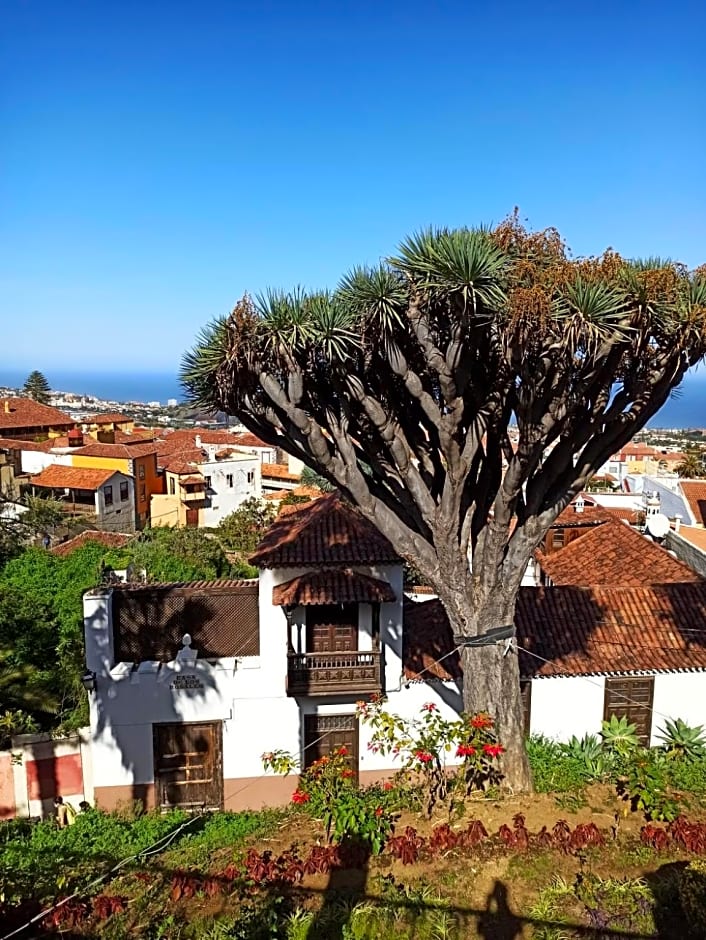 Hostel Tenerife