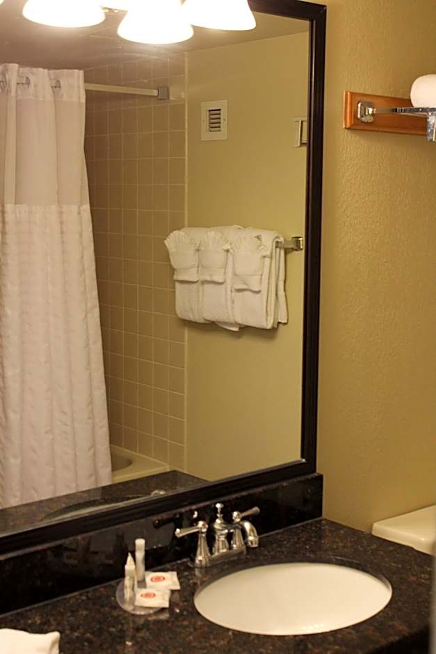 Comfort Inn University Center