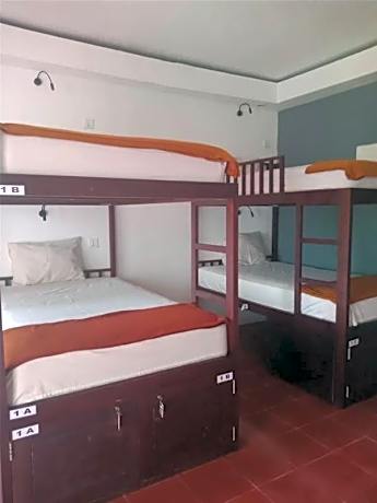 Bed in 4-Bed Mixed Dormitory Room
