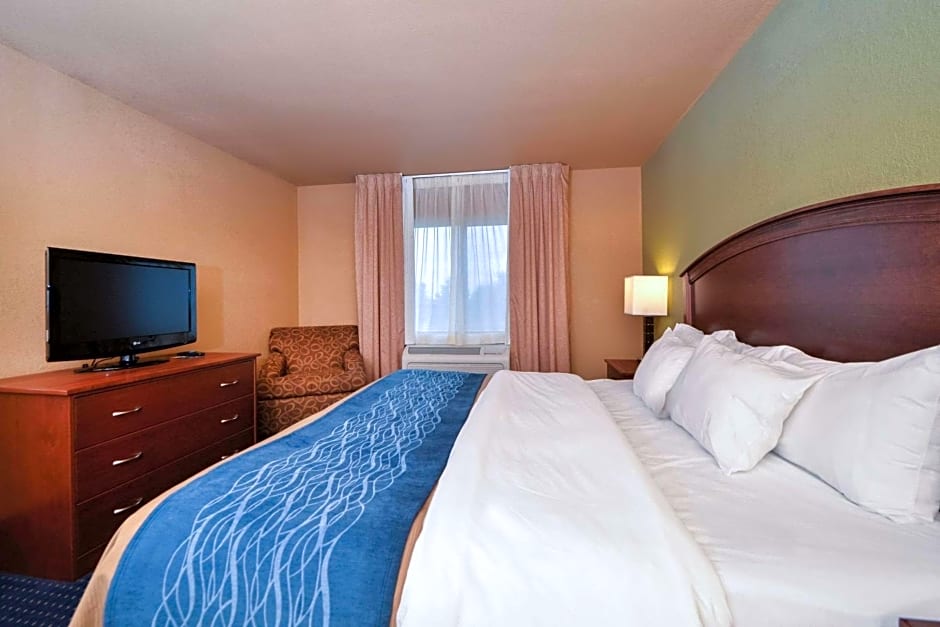 Comfort Inn Albert Lea