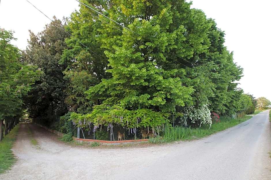 La Casa nel Bosco