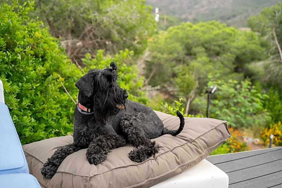 Elbitat Homes Wellness&Spa