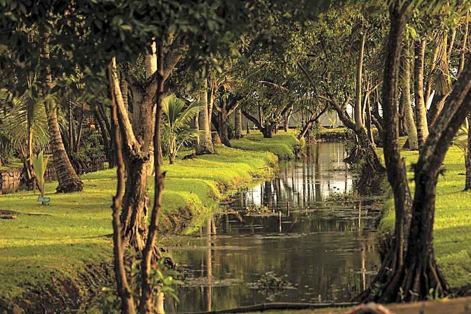 Coconut Lagoon Kumarakom- A CGH Earth Experience