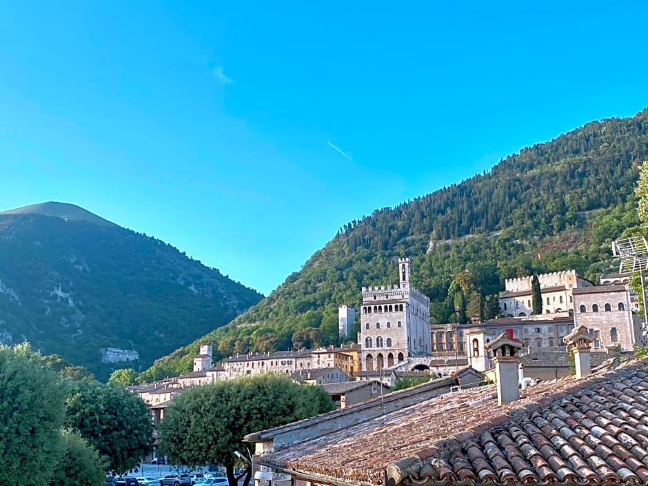 Hotel San Francesco e il lupo