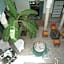 Riad Azahar