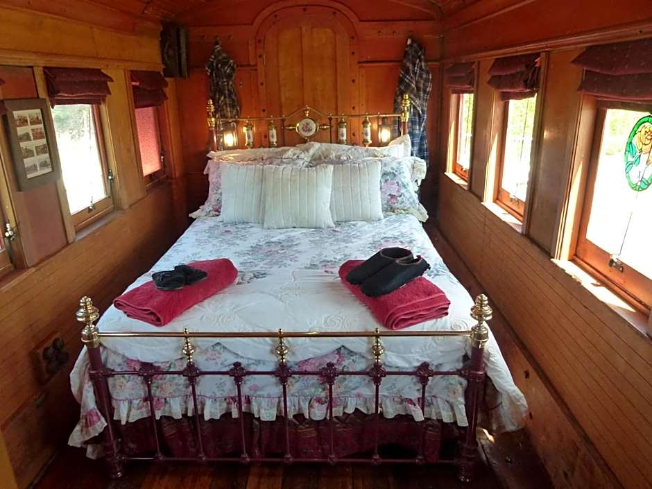 Wacky Stays - unique farm-stay glamping rentals, FREE animal feeding tours