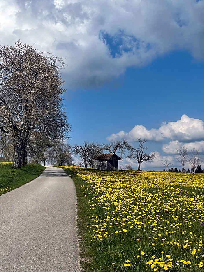 Hotel Krone Igelsberg