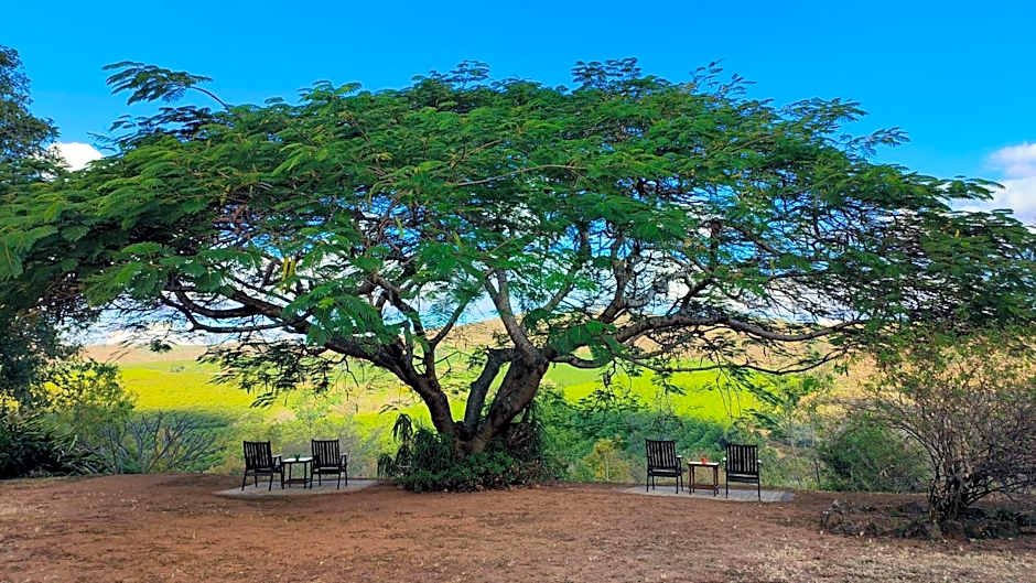 Abangane Guest Lodge