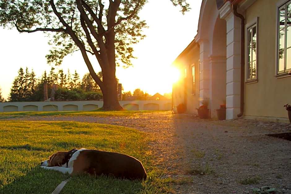 Blankenfeldes muiža
