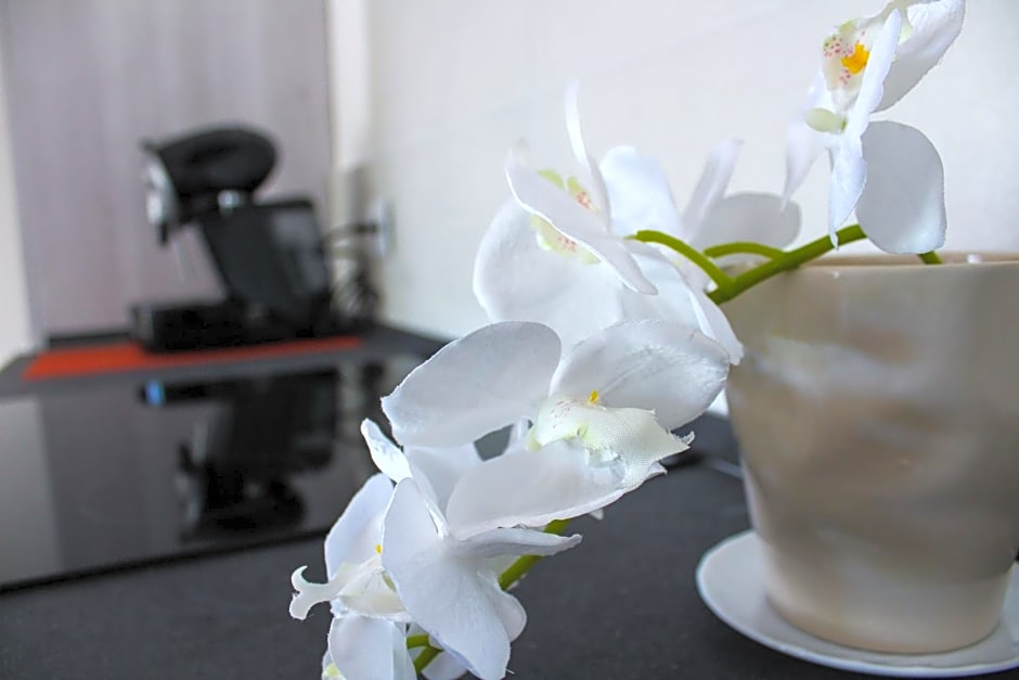 B&B L'arte è di casa