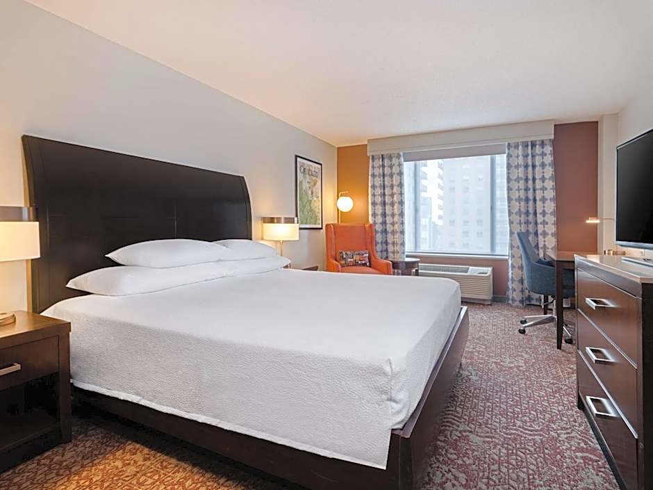 Hilton Garden Inn Chicago Downtown/Magnificent Mile