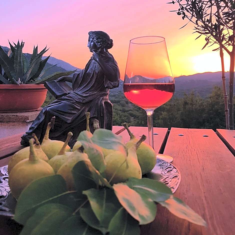 Helicon Muses Friendly Mountain B&B Guesthouse