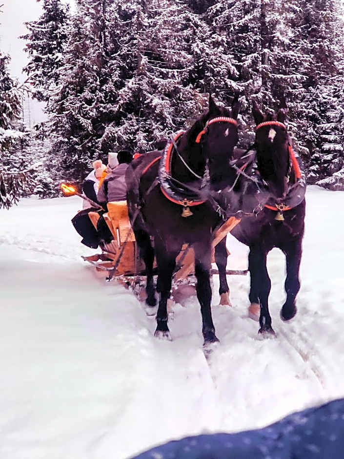 ECO Willa Karpatia Ski&Wellness