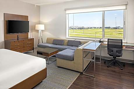 Studio King, Studio, 1 King, Sofa bed