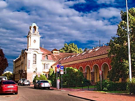 Hotel Tisza es Gyogyfurdo
