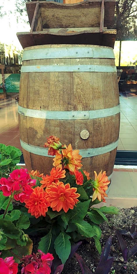 La Piana degli Ulivi