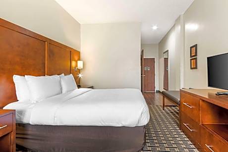 1 Queen Bed, Suite, Nonsmoking, Accessible