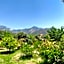 Bahar Bahce Datca