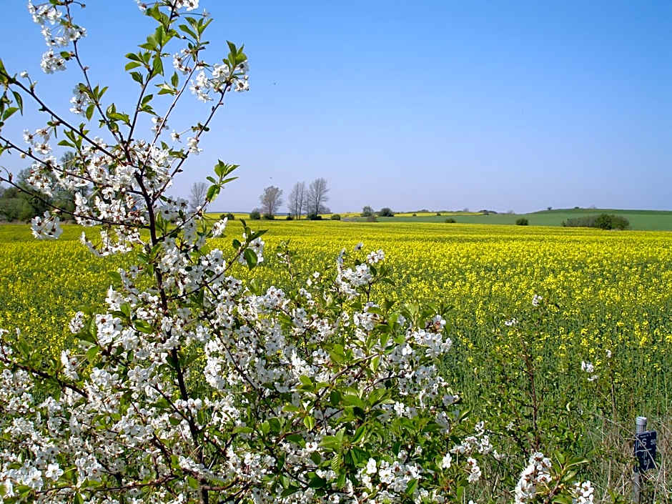 H.W.S. Hotel Der Wilde Schwan