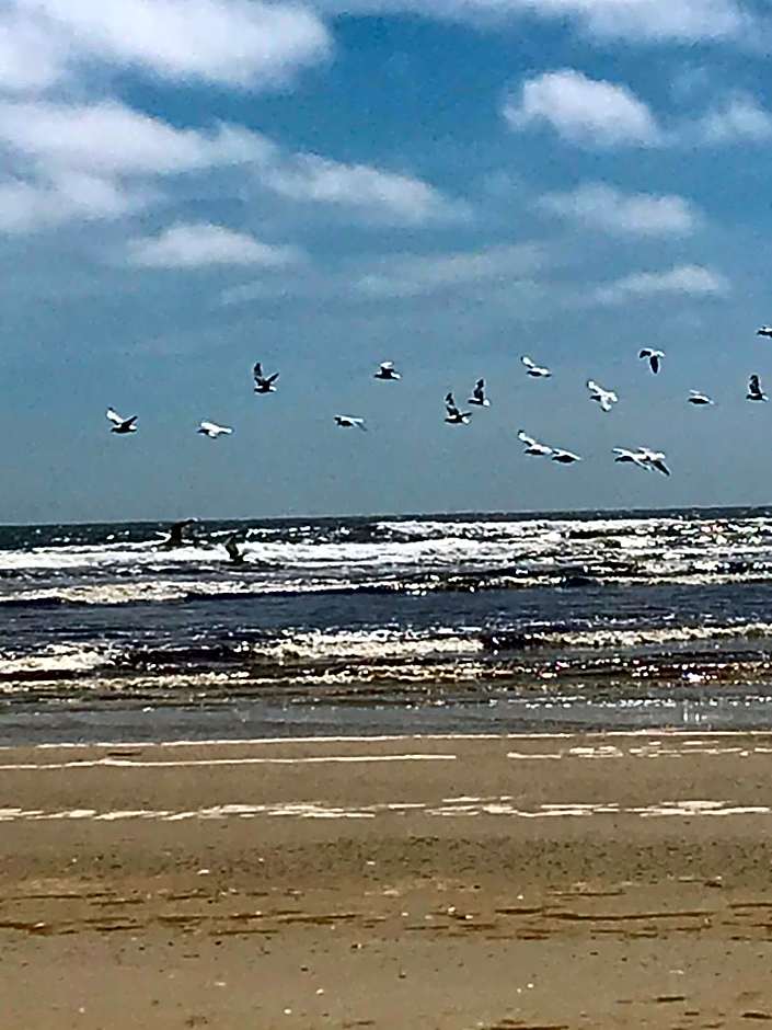 Wheelhouse Apartments