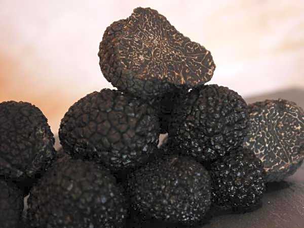 La Ferme Les Eybrachas