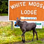 White Moose Lodge
