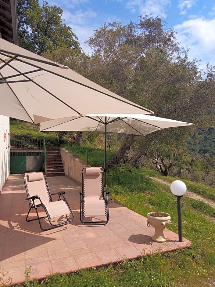 L'Antica Quercia B&B