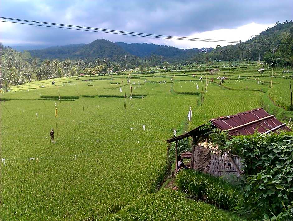 Yoga Homestay