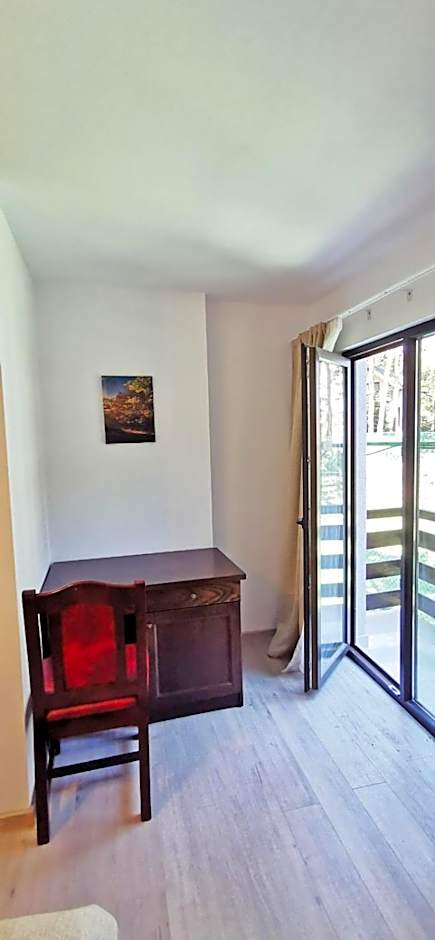 Complex Parc Pini Moinesti