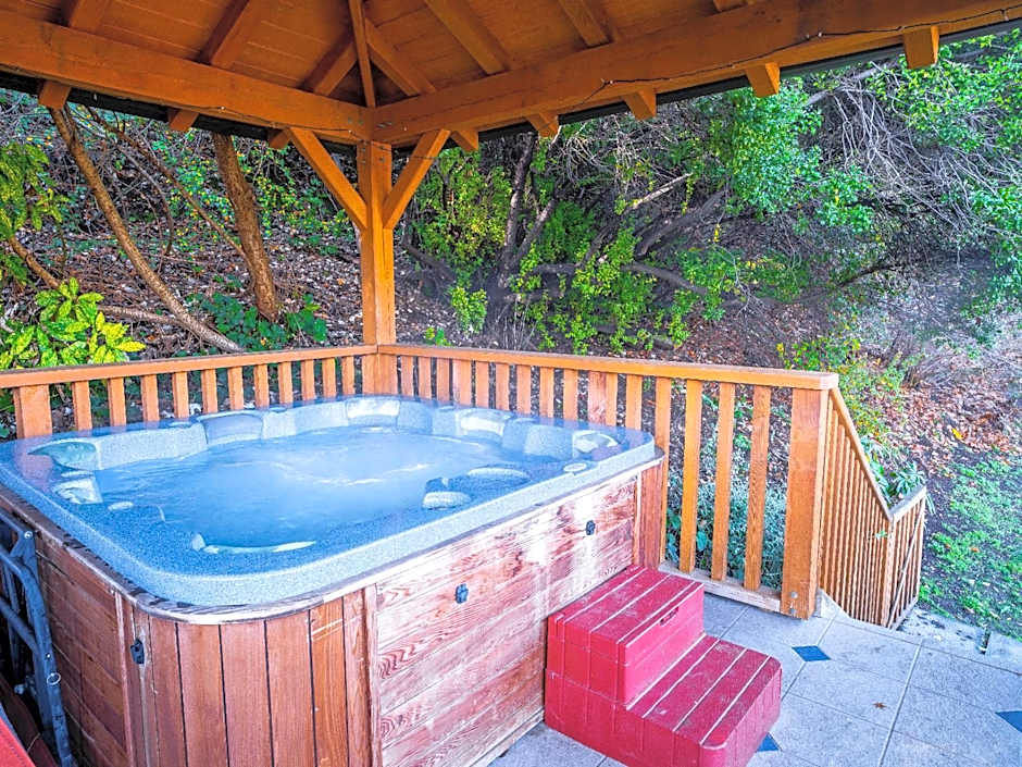 Wanaka Springs Lodge