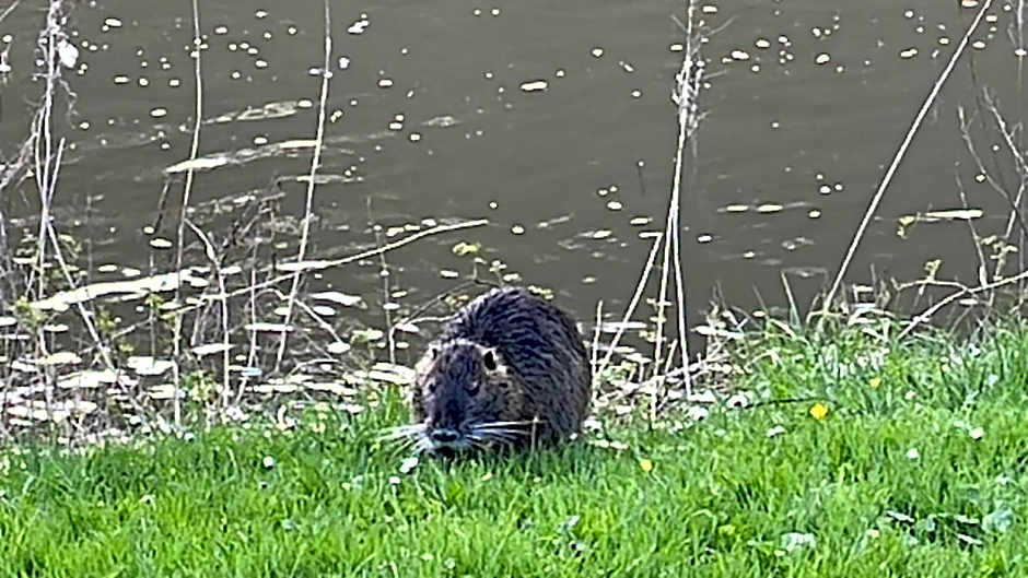 Ferienpension bei Stenze