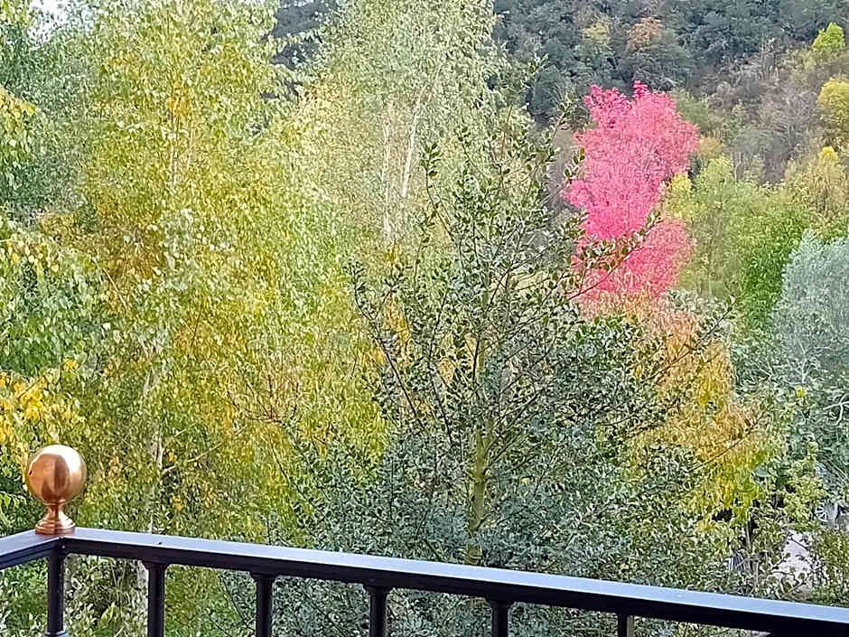 Picos de Europa Suites and Rooms