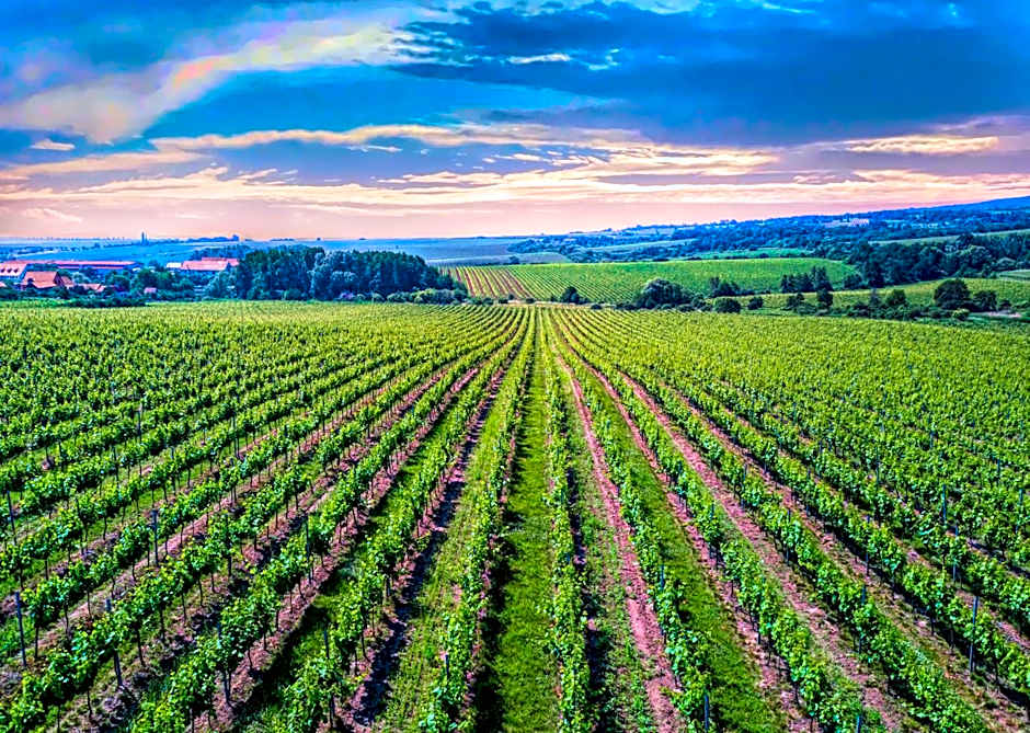 Hotel Vinice Hnanice