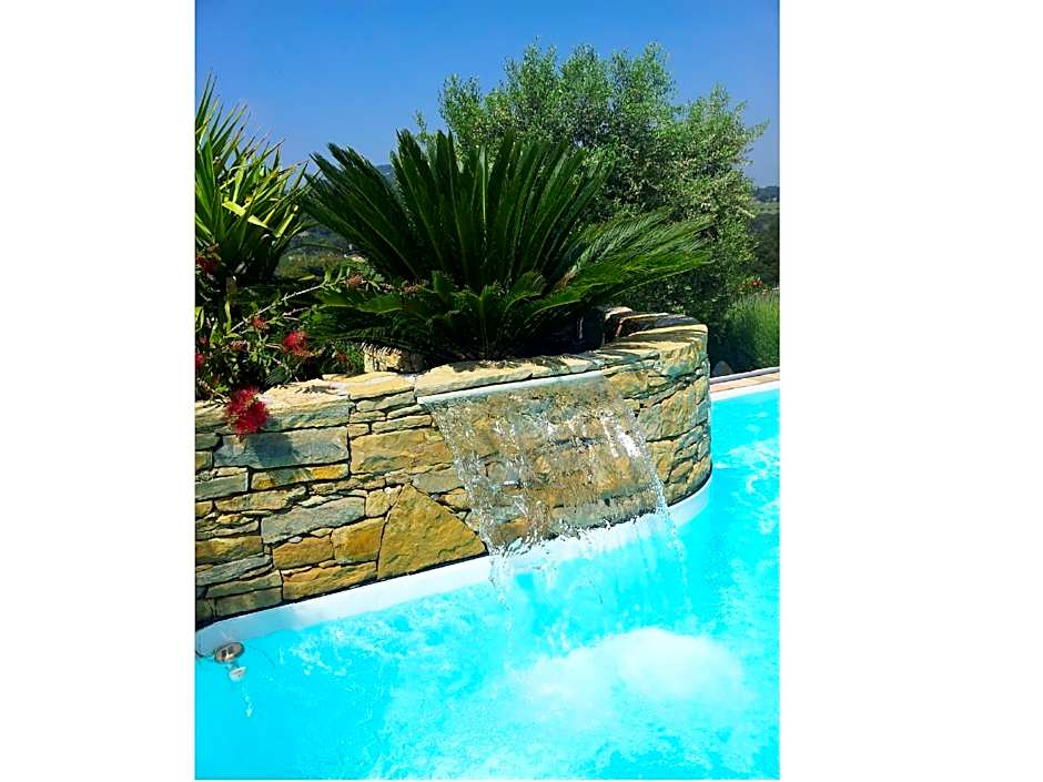 la cigale sous l'olivier