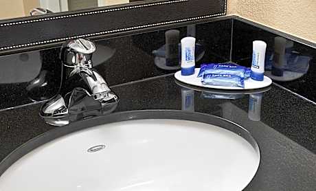 Executive Suite, 1 Bedroom (1 King Bed and 1 Double Sofa Bed)