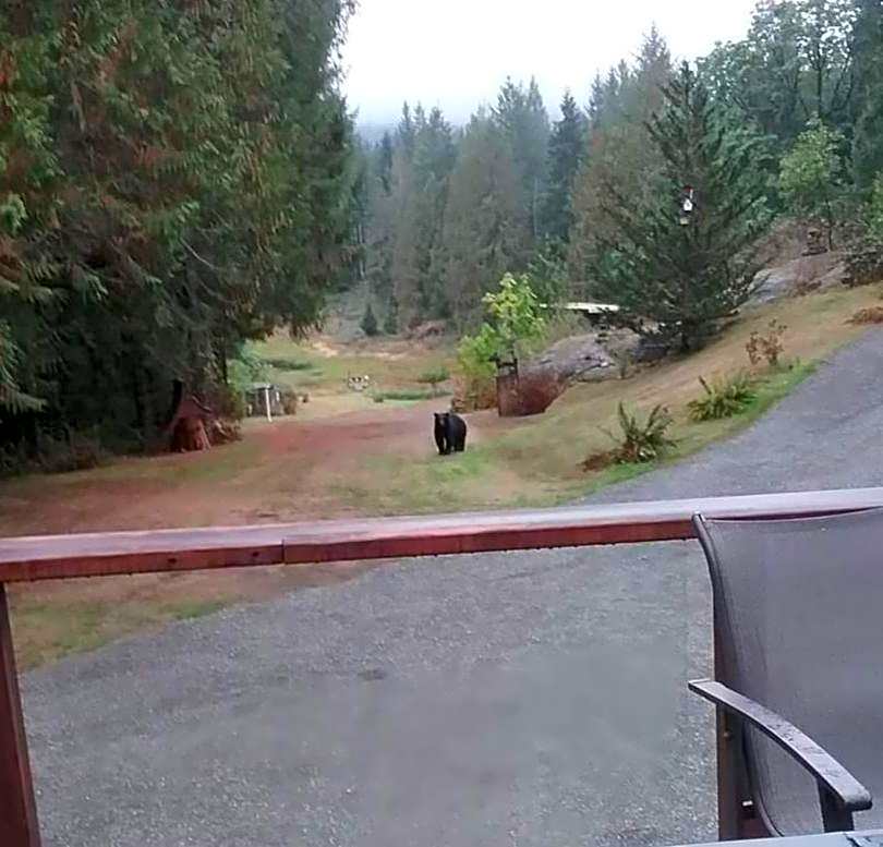 Beaver Hut Bed And Breakfast