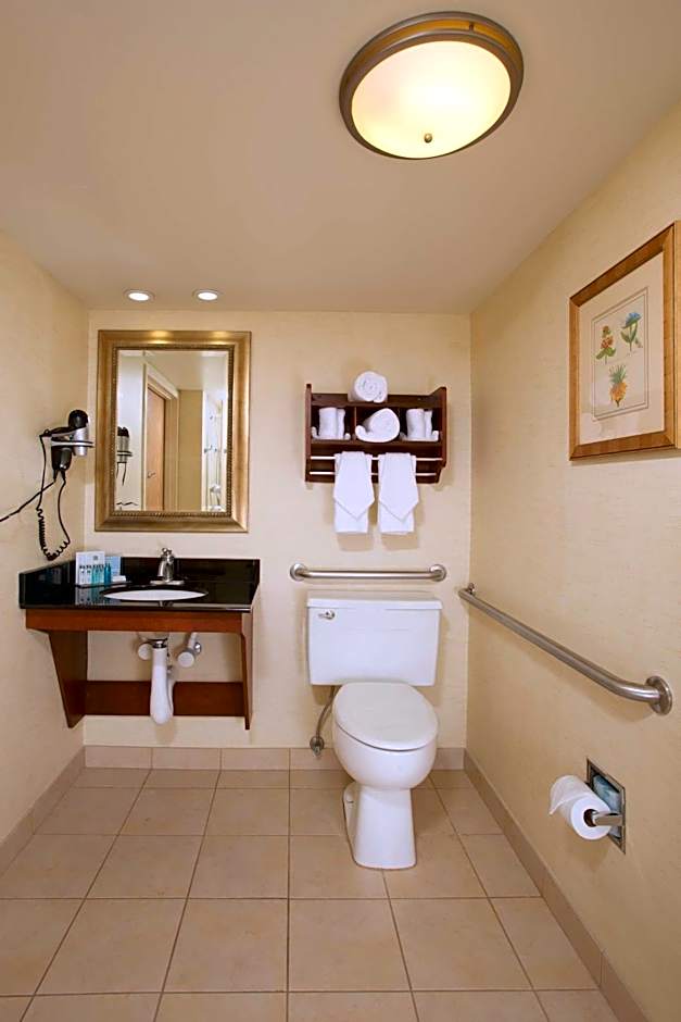Hampton Inn By Hilton Alexandria-Pentagon South VA