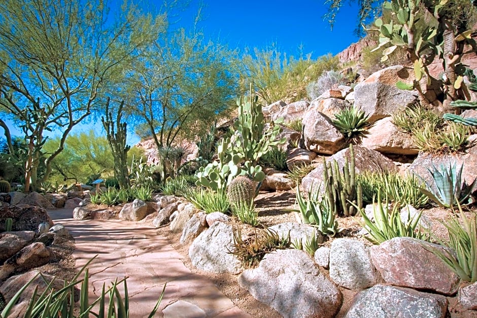 The Canyon Suites at The Phoenician, a Luxury Collection Resort, Scottsdale