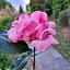 B&B Le rose di Paola