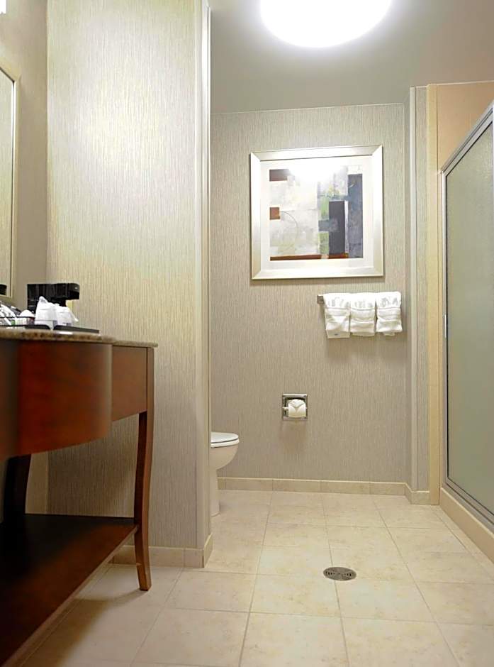 Hampton Inn By Hilton & Suites Craig, CO