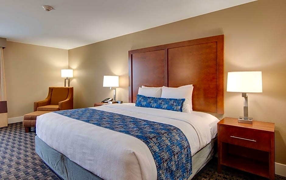 Best Western Plus Greenville I-385 Inn & Suites