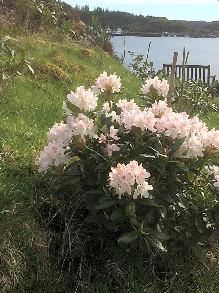 Bonnie Haven – Lochinver