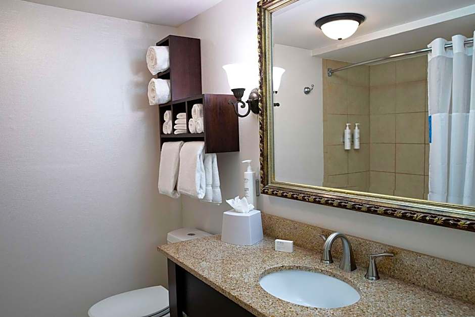 Hampton Inn By Hilton Charleston-Historic District