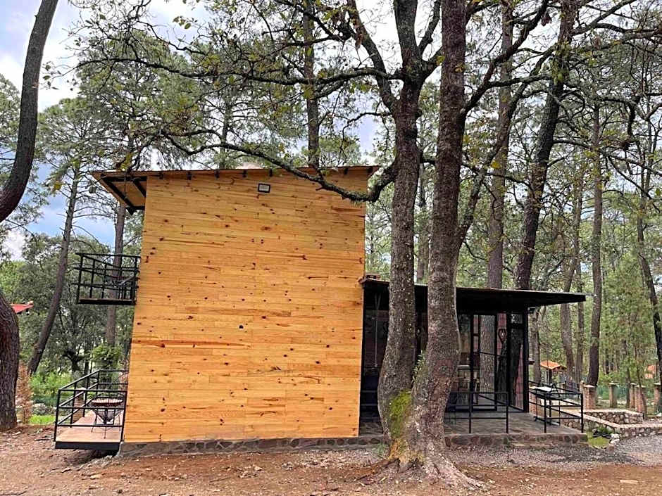 Hermosa Cabaña Inmersa en el Bosque de Tapalpa