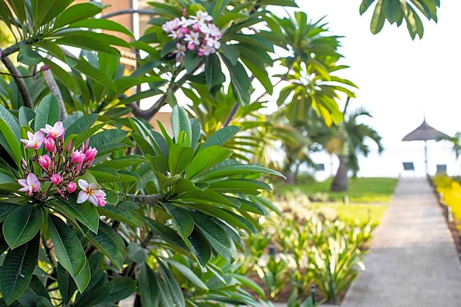 La Mariposa Mauritius