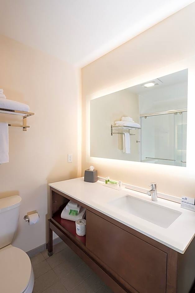 Holiday Inn Kalamazoo West By IHG