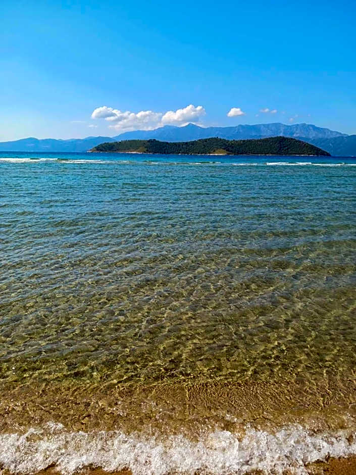 Oasis luxury apartments